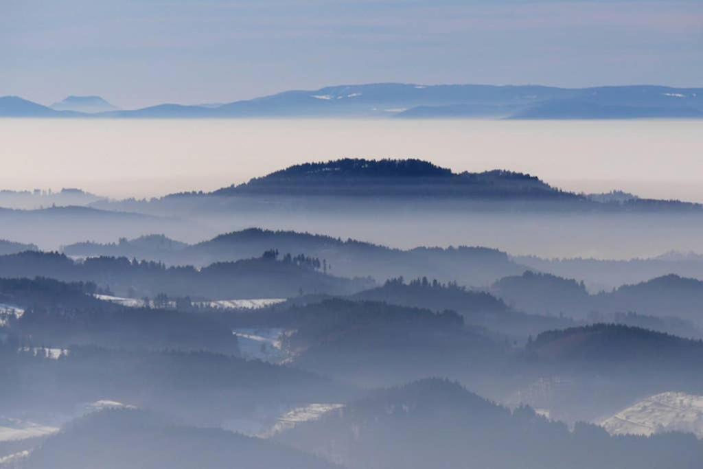 Ferienwohnung Schwarzwald Hinterzarten Buitenkant foto