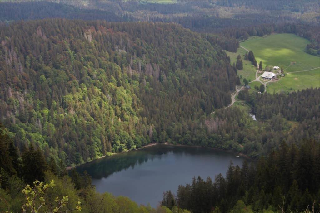 Ferienwohnung Schwarzwald Hinterzarten Buitenkant foto