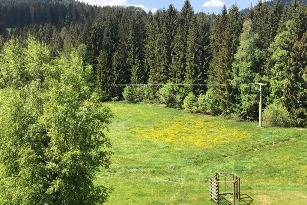 Ferienwohnung Schwarzwald Hinterzarten Buitenkant foto