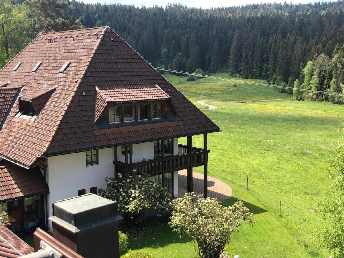 Ferienwohnung Schwarzwald Hinterzarten Buitenkant foto