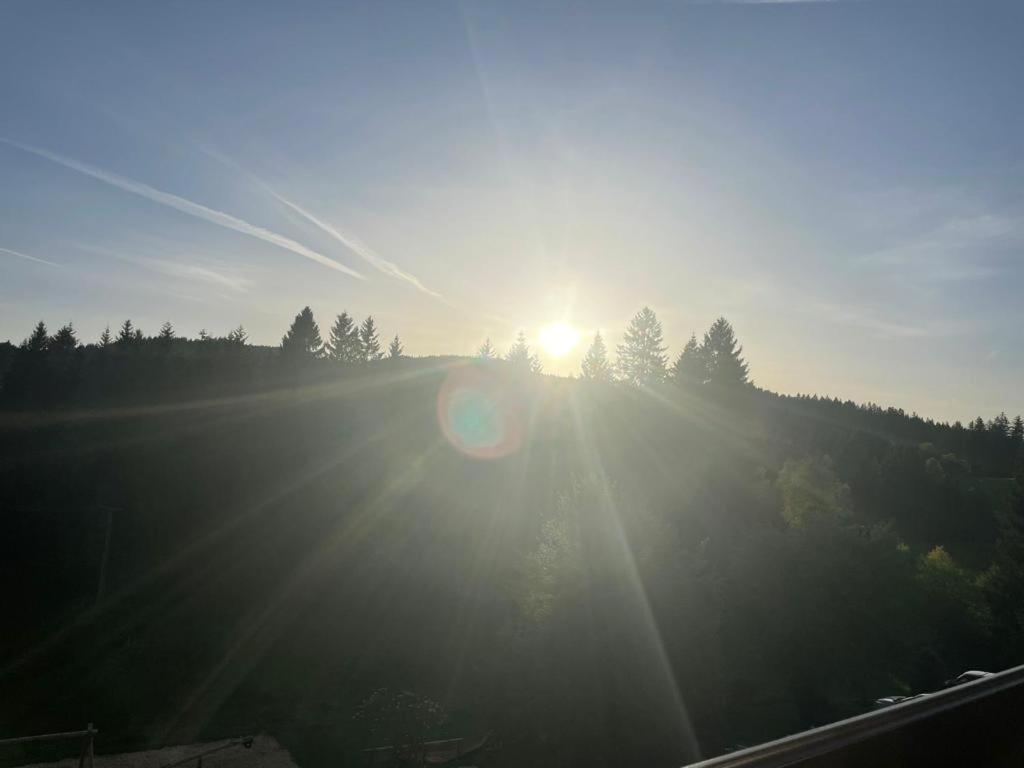 Ferienwohnung Schwarzwald Hinterzarten Buitenkant foto