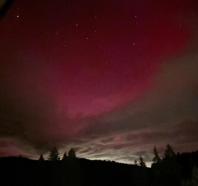 Ferienwohnung Schwarzwald Hinterzarten Buitenkant foto